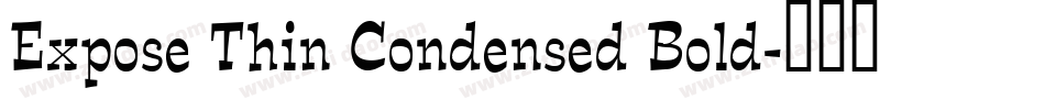 Expose Thin Condensed Bold字体转换